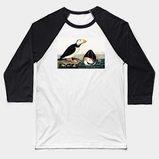 Bird of America  Bird, bird lover, america, beautiful  Public domain painting by John James Audubon Baseball T-Shirt